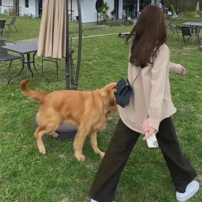 猎艳狂魔